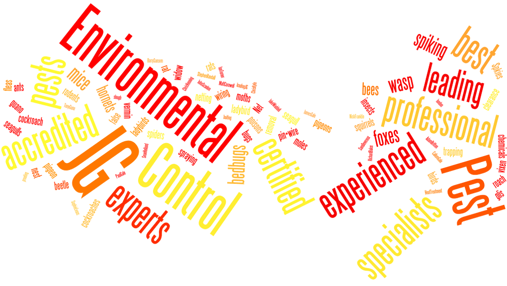jg3wordle-1024x702